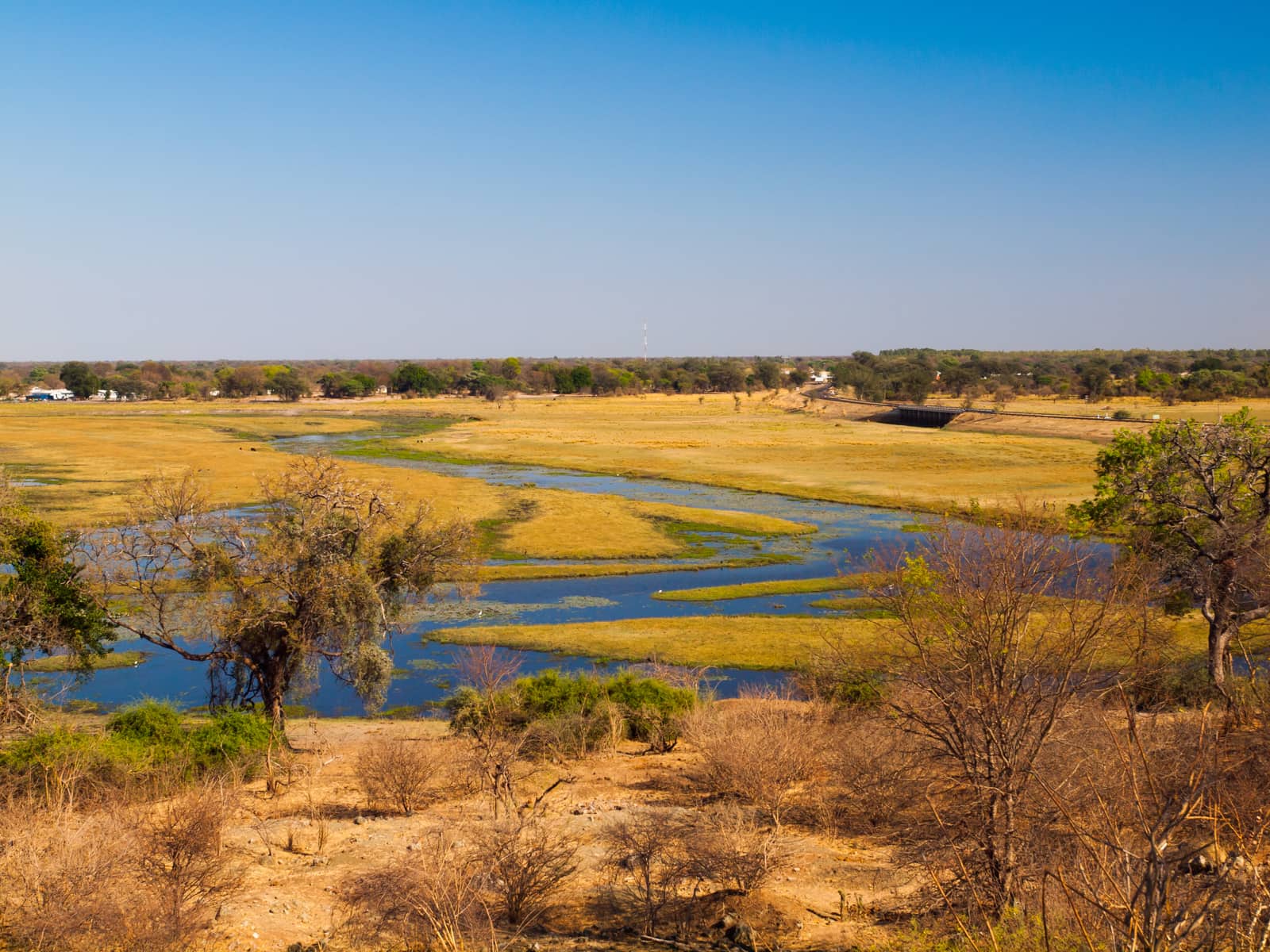 Flussauen des Chobe an der Grenze zwischen Botswana und Namibia
