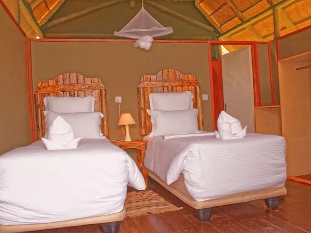 Lion Roars Lodge